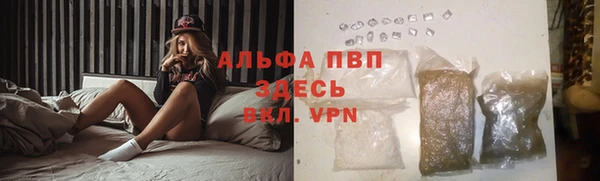 стафф Арсеньев