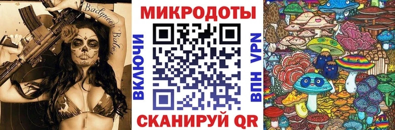Галлюциногенные грибы Psilocybe  Салаир 